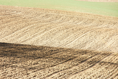 Field 2, par Xavier E. G. Dierick